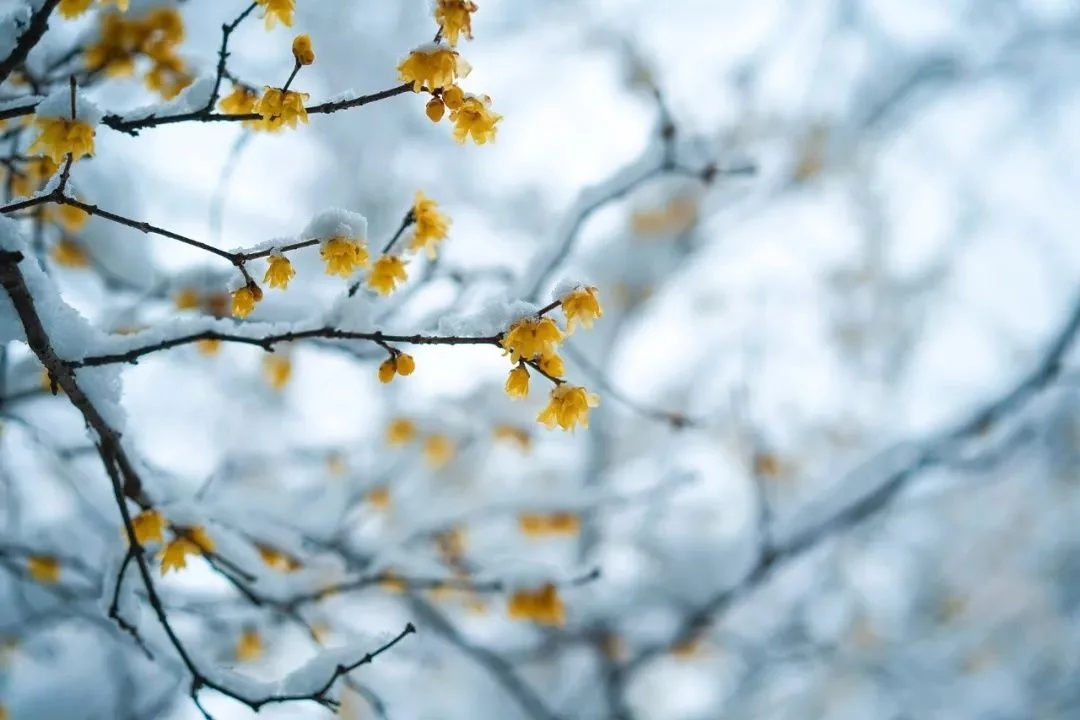 6229506bdf57f.jpg 15215911A-4.webp (1).jpg